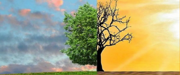 <a href=https://extension.uned.es/actividad/idactividad/44139>La comunicación del cambio climático en España</a>
