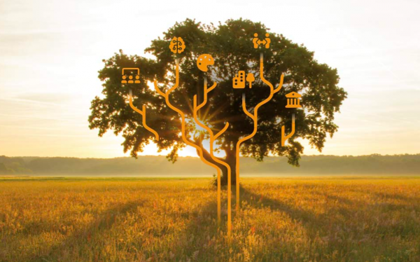 <a href=https://extension.uned.es/actividad/idactividad/43681>Tourism Without Borders: Strengthening Your Communicative and Entrepreneur Skills with English</a>